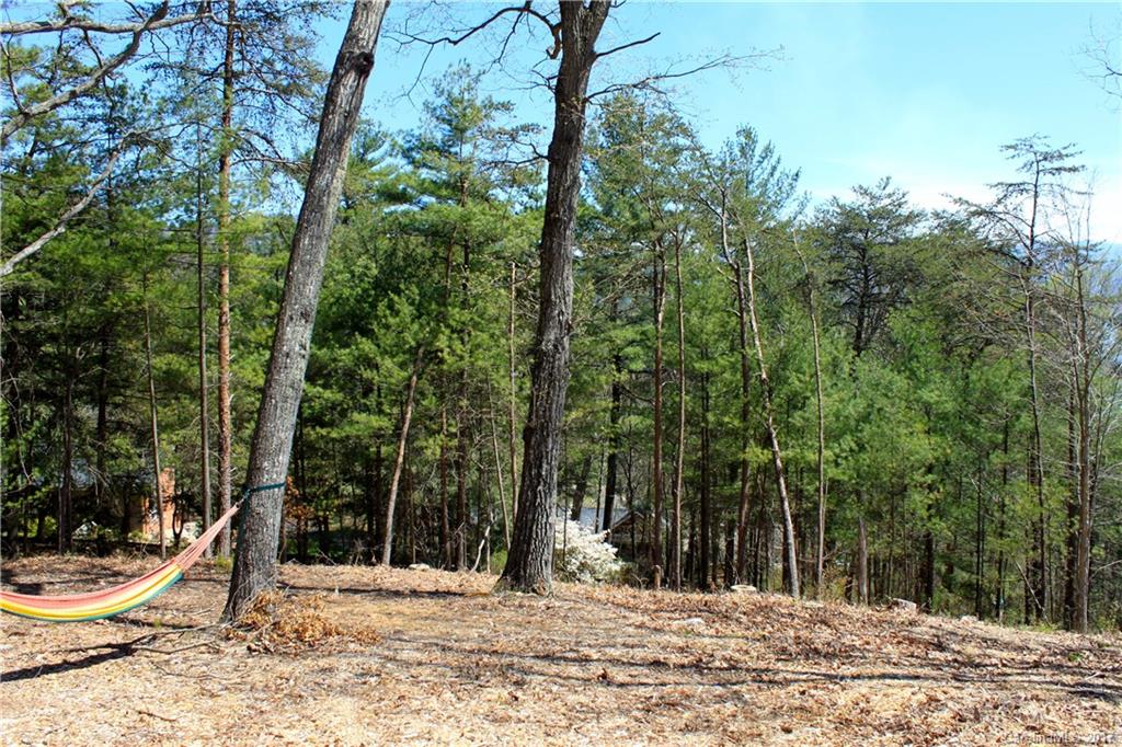 9999 Beaverbrook Road Asheville, NC 28804 - Photo 4 of 5 Gallery Image 4