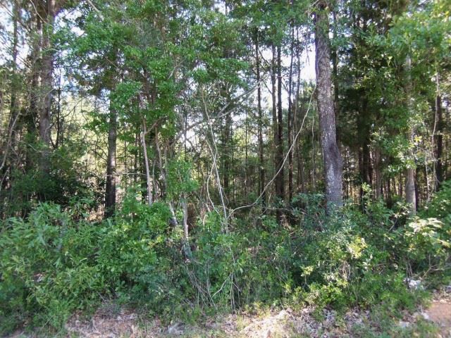 3 Jaycee Road Bay Minette, AL 36507 - Photo 1 of 1