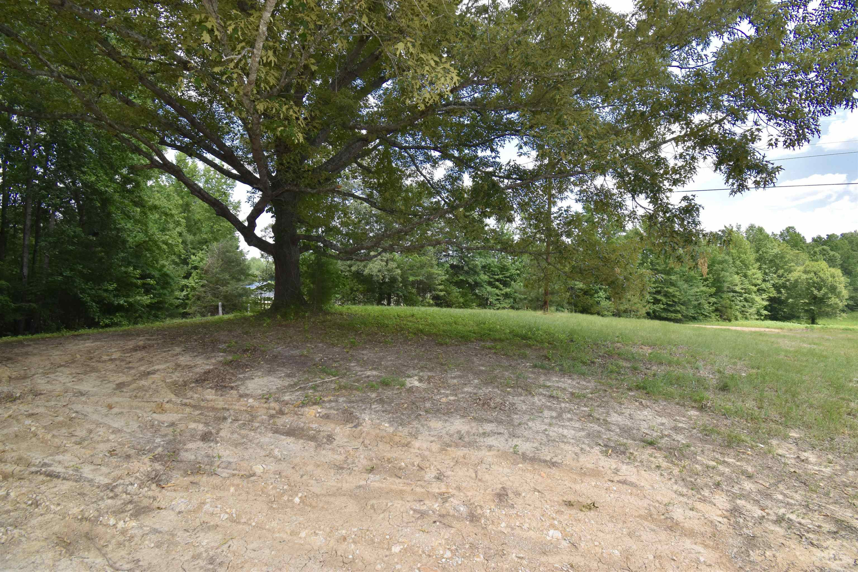 410 Ranger Road Jackson, TN 38301 - Photo 8 of 38 a view of a yard with a tree