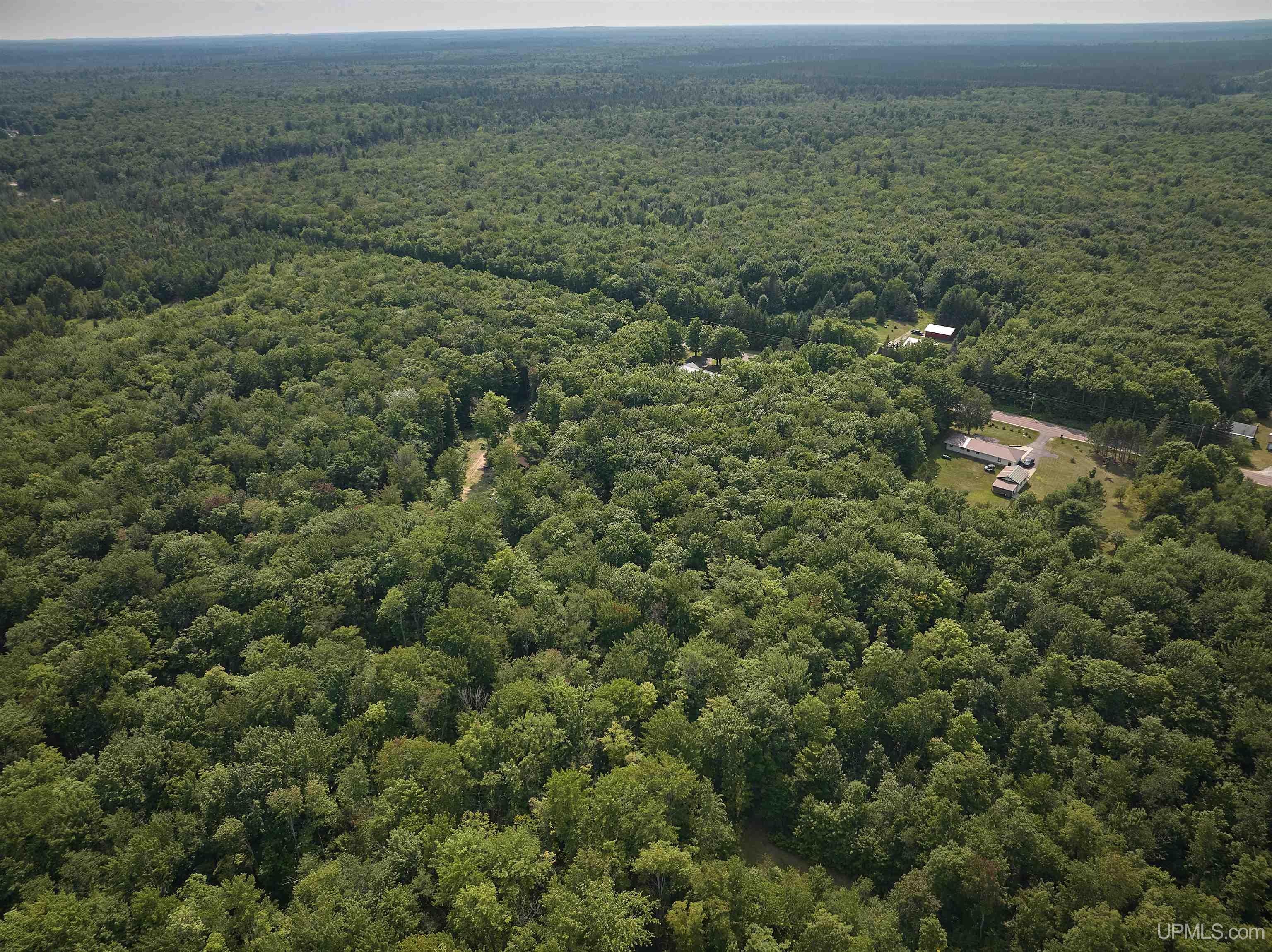 Tbd Tbd H-15 Road Shingleton, MI 49884 - Photo 6 of 21 Gallery Image 6
