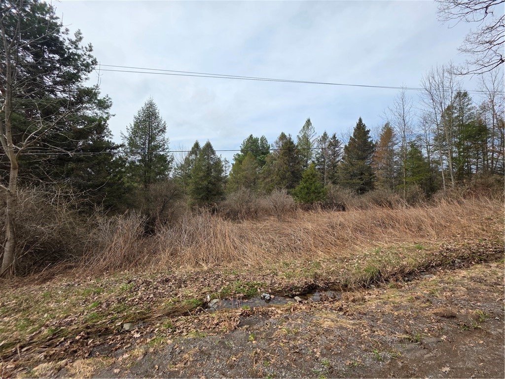 Dingman Hill Road Bainbridge, NY 13733 - Photo 3 of 21