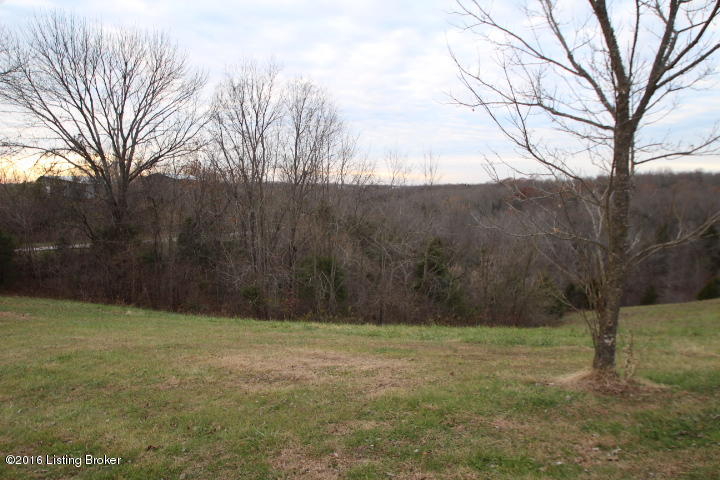 1500 Mays Road Lawrenceburg, KY 40342 - Photo 21 of 23 IMG_5536