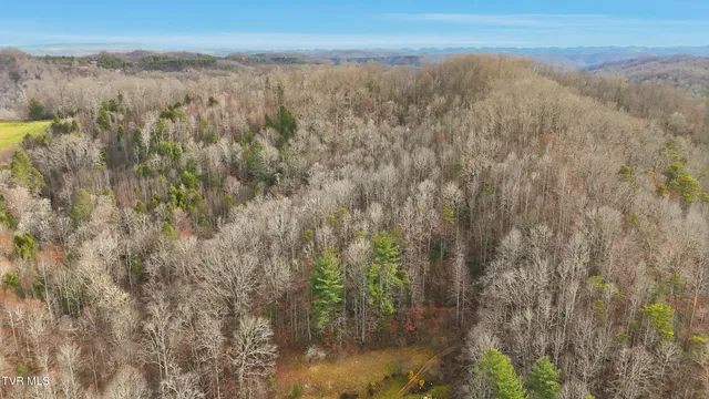 $99,000 | Tbd River Lane, Coeburn, VA 24230