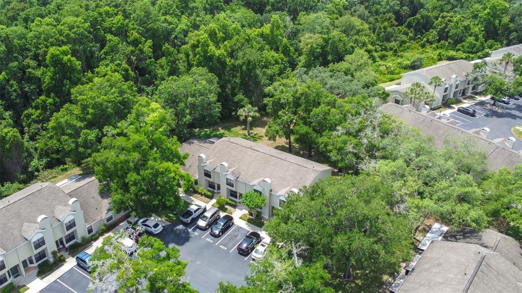 5100 Burchette Road, Unit 2505 Tampa, FL 33647 - Photo 4 of 47 an aerial view of a house