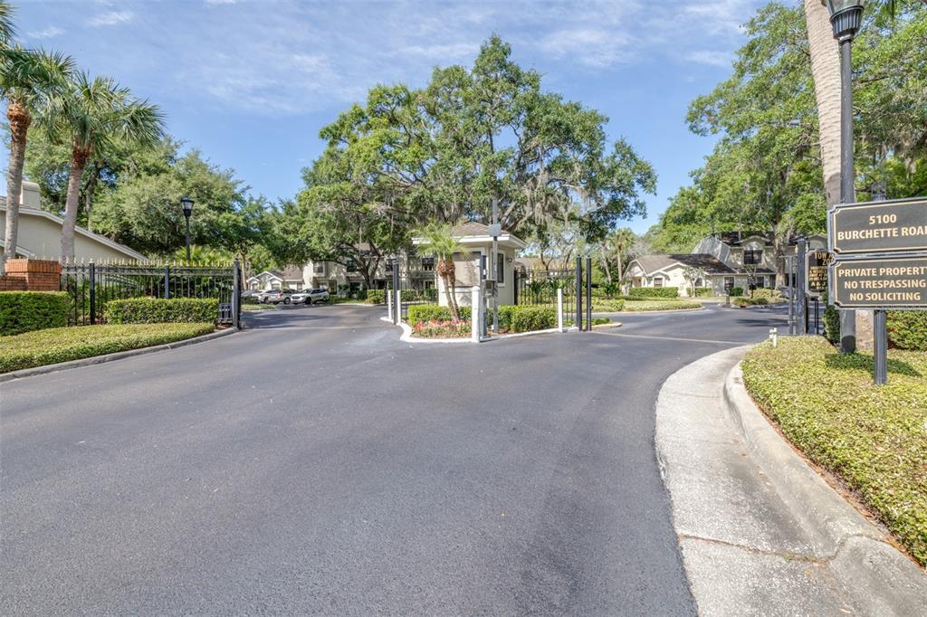 5100 Burchette Road, Unit 2505 Tampa, FL 33647 - Photo 41 of 47 a view of a park with plants and trees