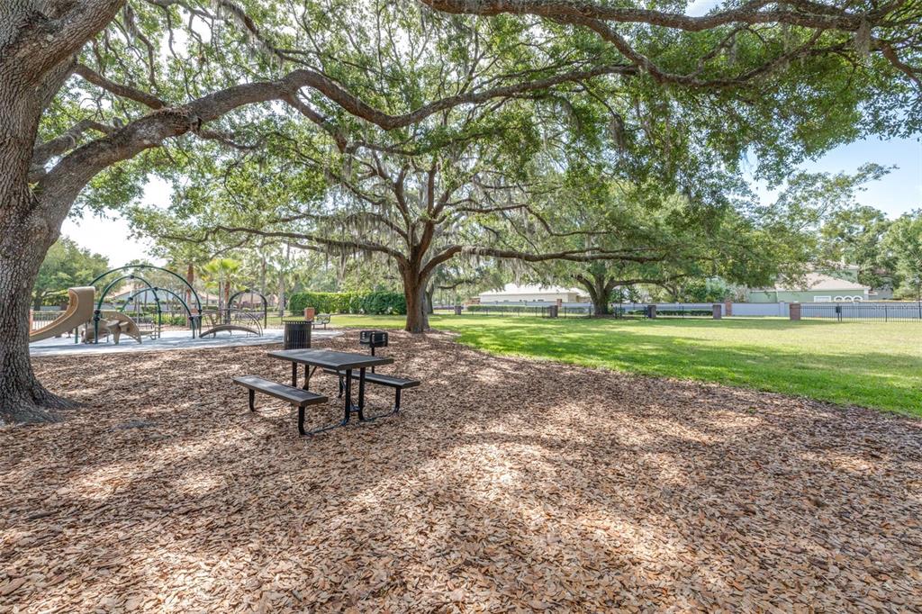 5100 Burchette Road, Unit 2505 Tampa, FL 33647 - Photo 46 of 47 a view of a park with large trees