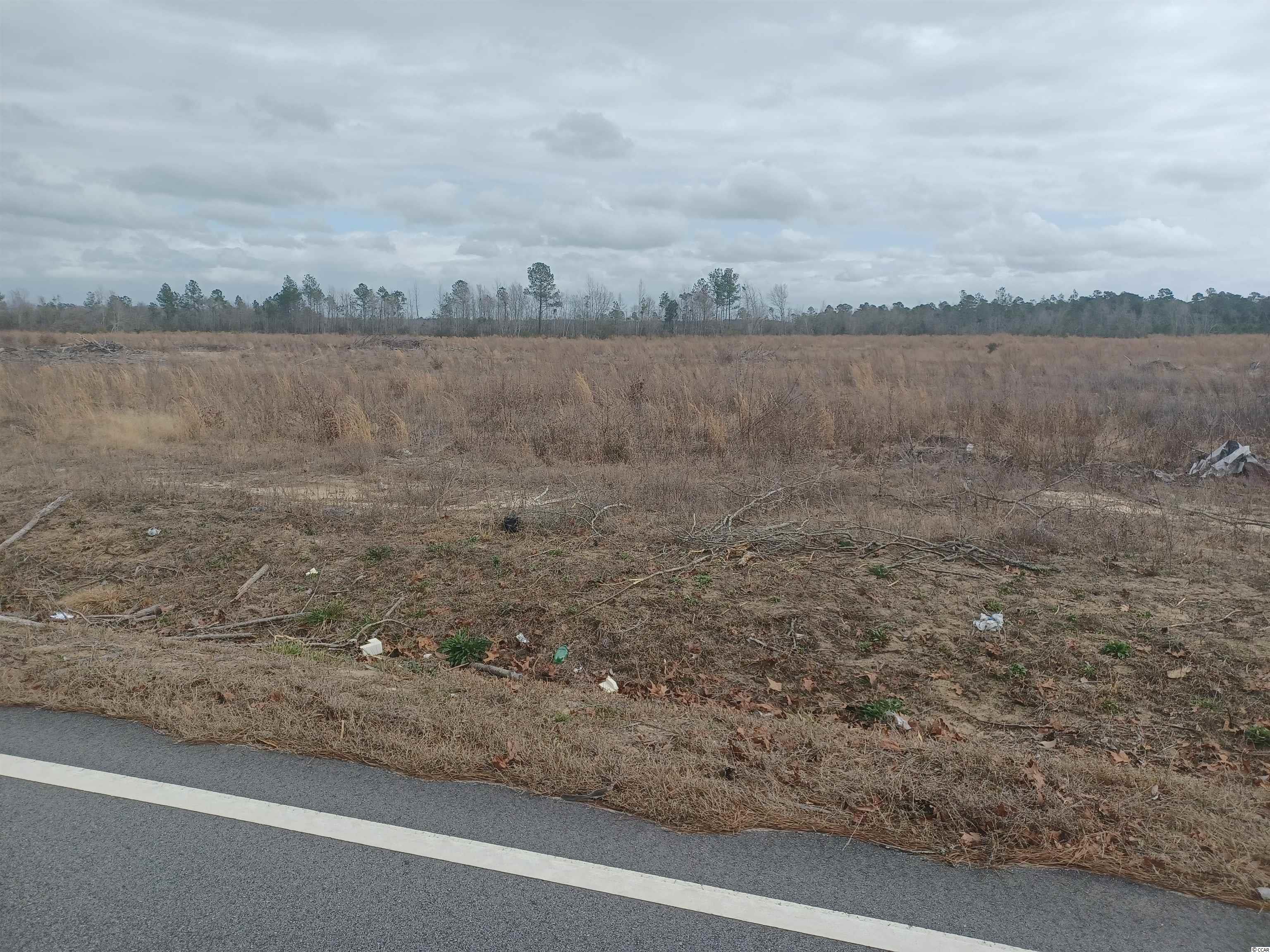 Lot 8 Mw Stroud Road Nichols, SC 29581 - Photo 2 of 2 Gallery Image 2