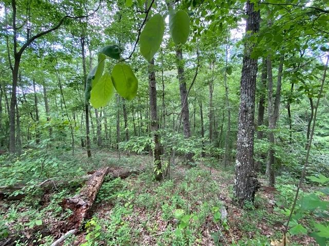 0 Eagle View Cove Big Sandy, TN 38221 - Photo 1 of 11