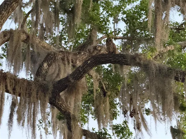 $583,400 | 2635 Wood Duck Village, DeLand, FL 32720