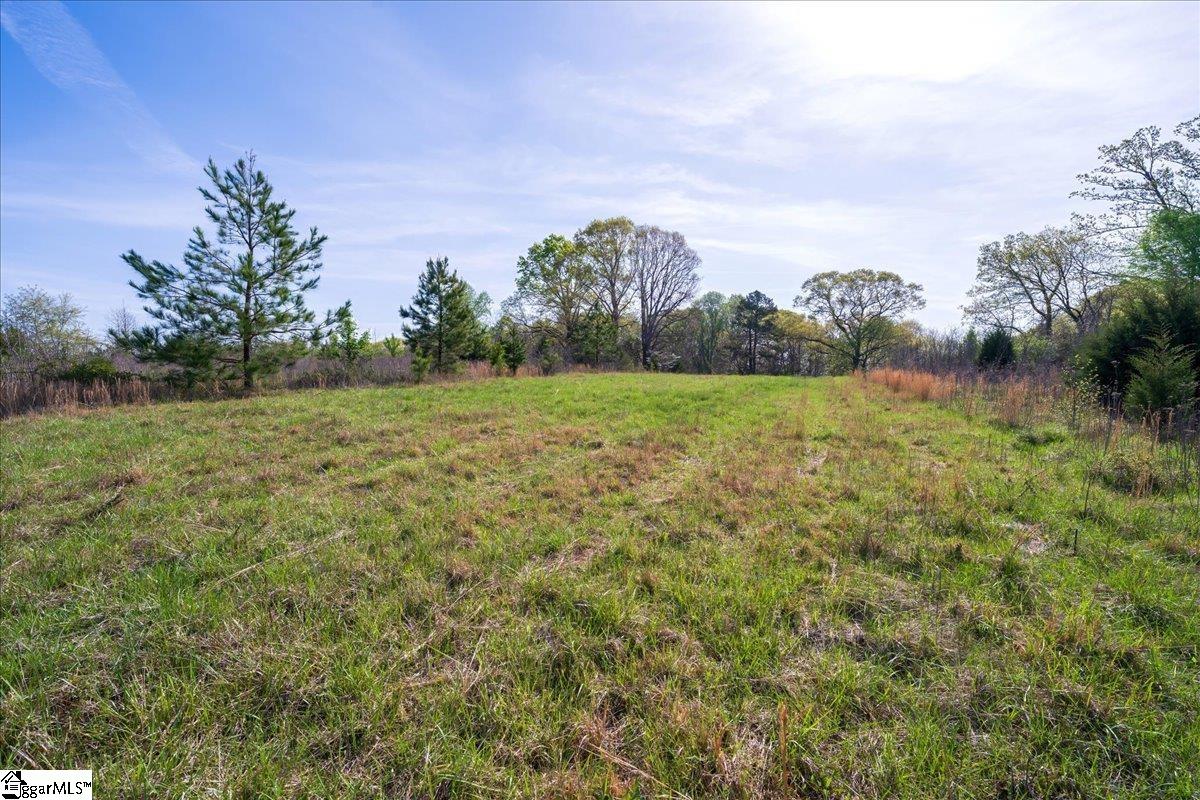 1750 Cannon Bottom Road Belton, SC 29627 - Photo 3 of 29