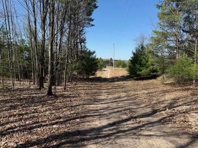 Helena Road Alden, MI 49612 - Photo 4 of 11 Gallery Image 4