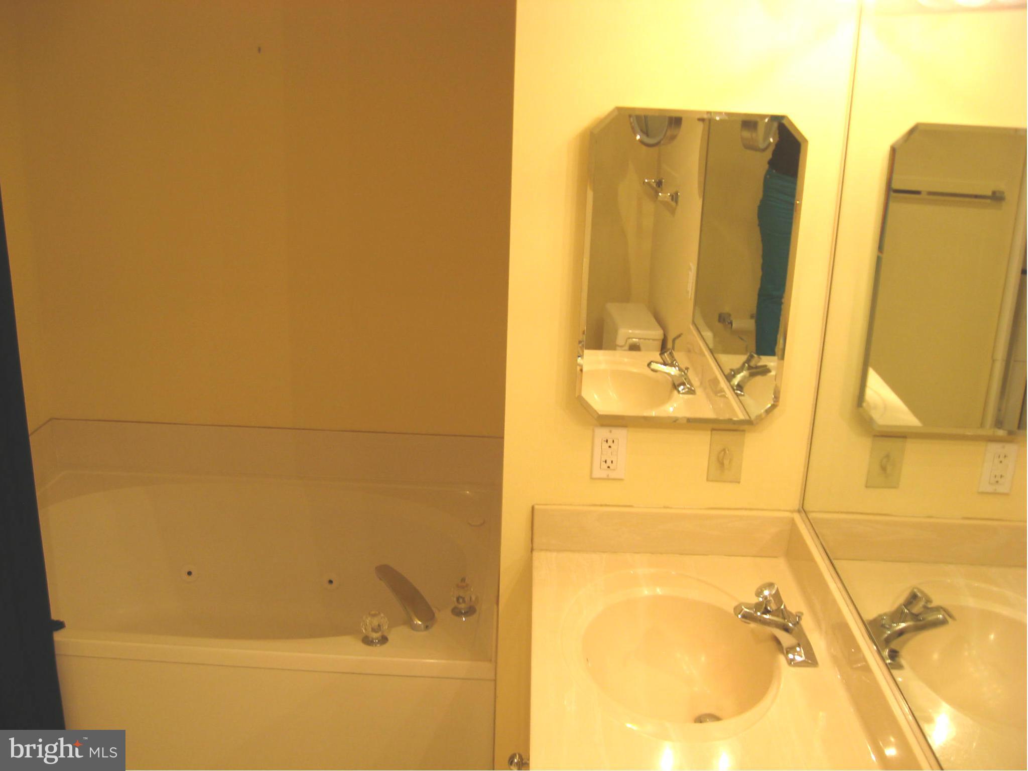 14800 Pennfield Circle, Unit 301 Silver Spring, MD 20906 - Photo 14 of 30 Bath (Master)