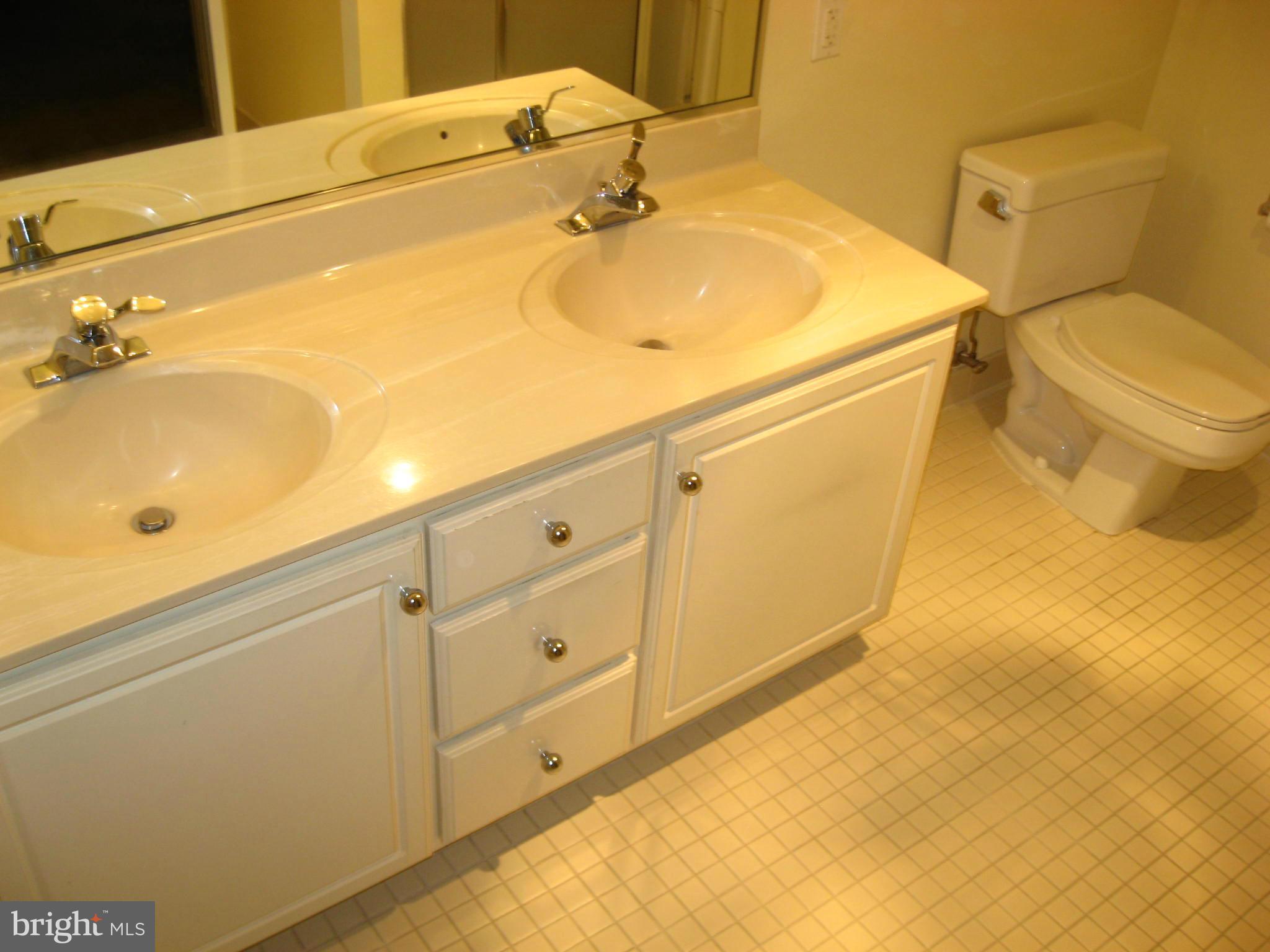 14800 Pennfield Circle, Unit 301 Silver Spring, MD 20906 - Photo 15 of 30 Bath (Master)