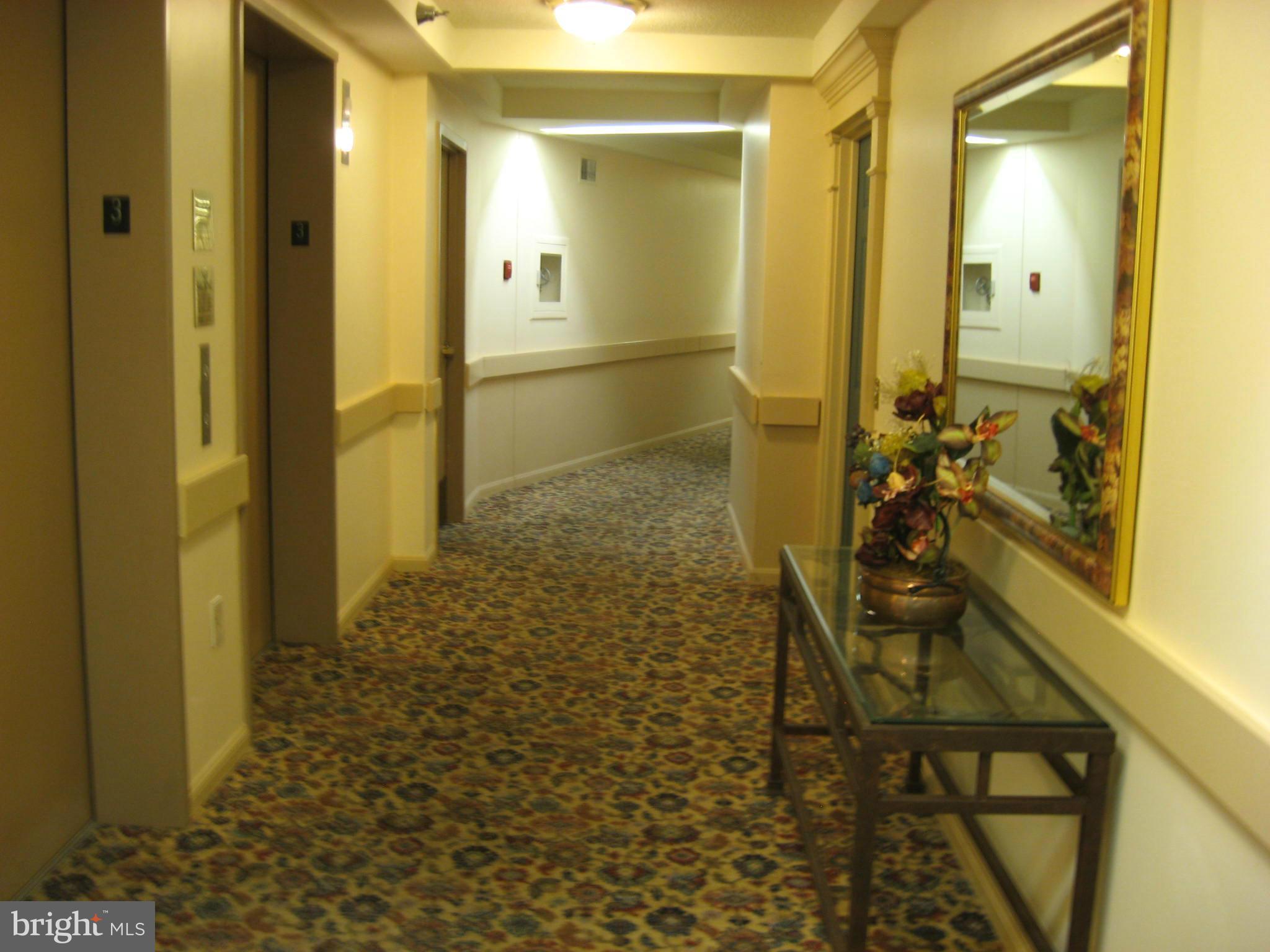 14800 Pennfield Circle, Unit 301 Silver Spring, MD 20906 - Photo 4 of 30 Elevator Area