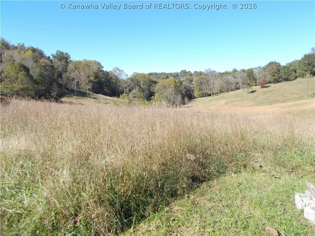 0 Flat Foot Road Apple Grove, WV 25502 - Photo 6 of 11 Gallery Image 6