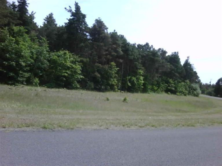 Hazel Road Mears, MI 49436 - Photo 1 of 3 Primary Photo