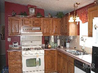 15776 Cone Road Maybee, MI 48159 - Photo 4 of 20 930549-3.JPG