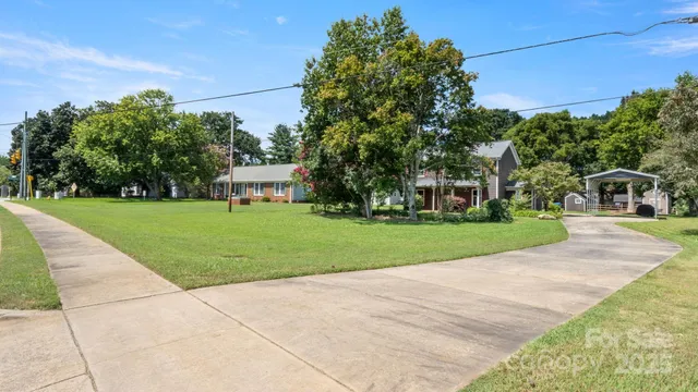 a view of a park with large trees
