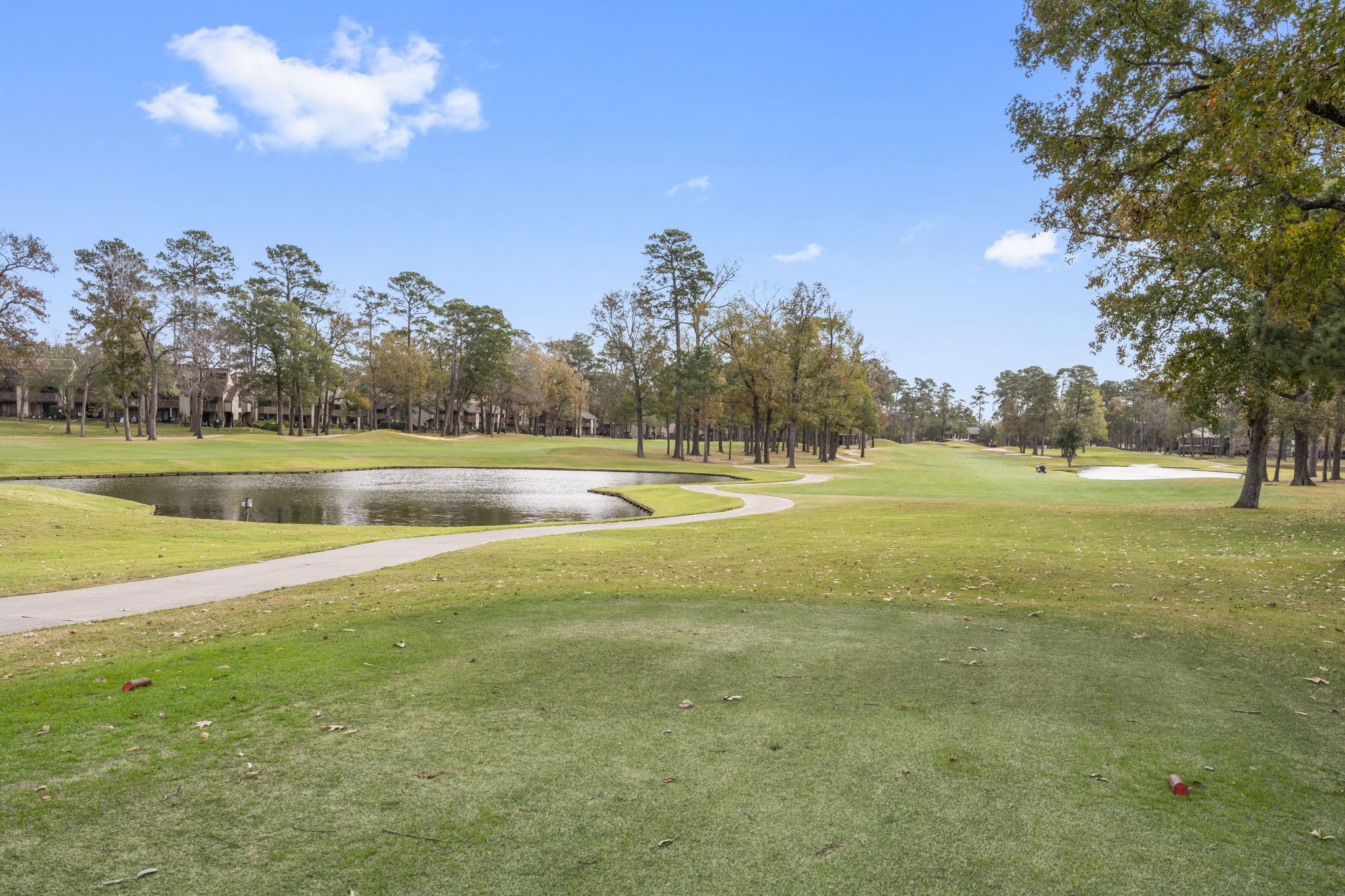 3411 Ripplewind Court Montgomery, TX 77356 - Photo 48 of 49