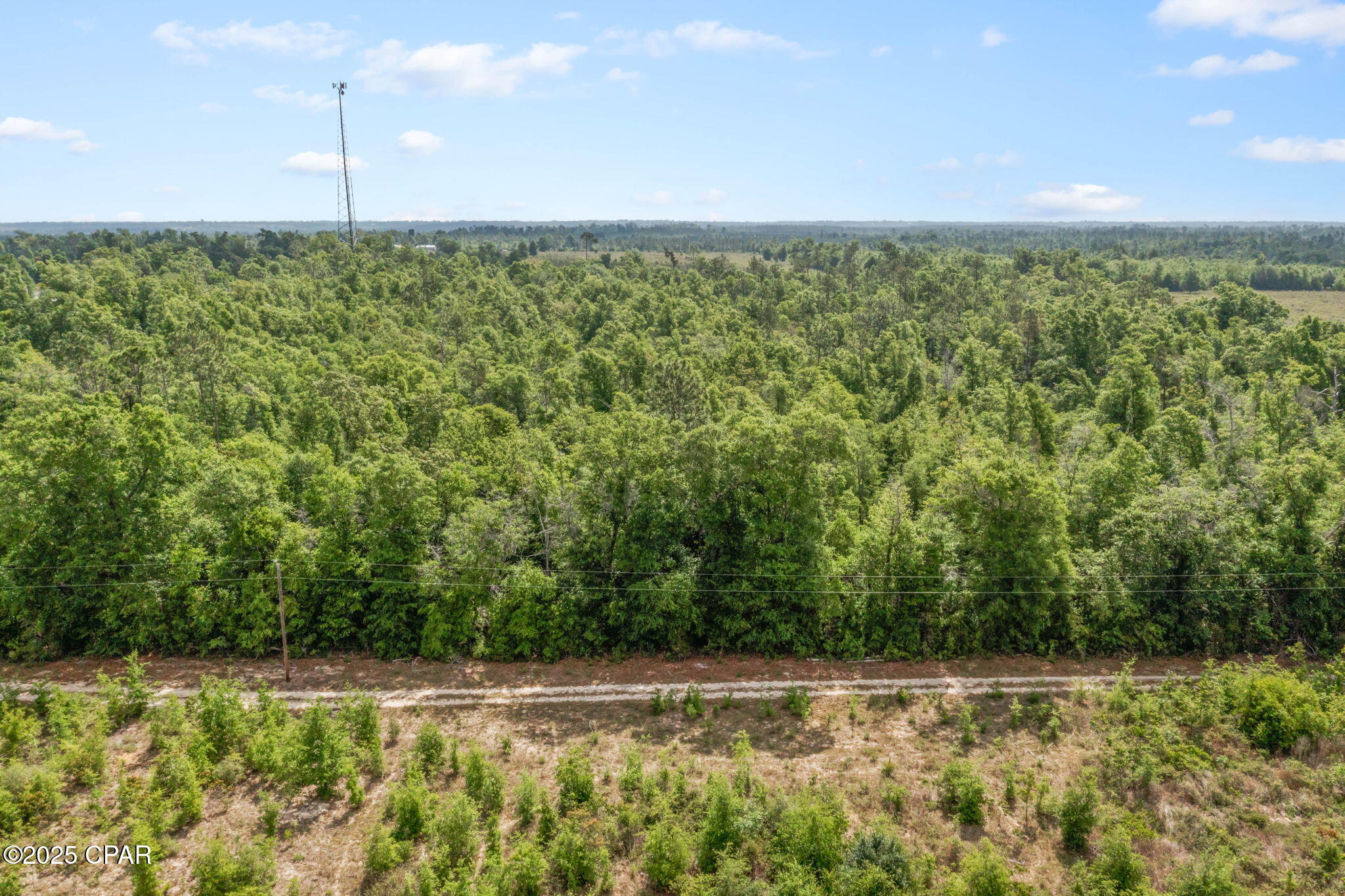 10367 Northwest County Road 274 Altha, FL 32421 - Photo 19 of 53