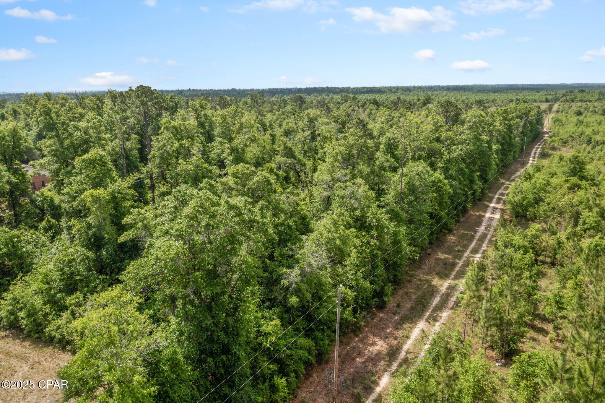 10367 Northwest County Road 274 Altha, FL 32421 - Photo 20 of 53