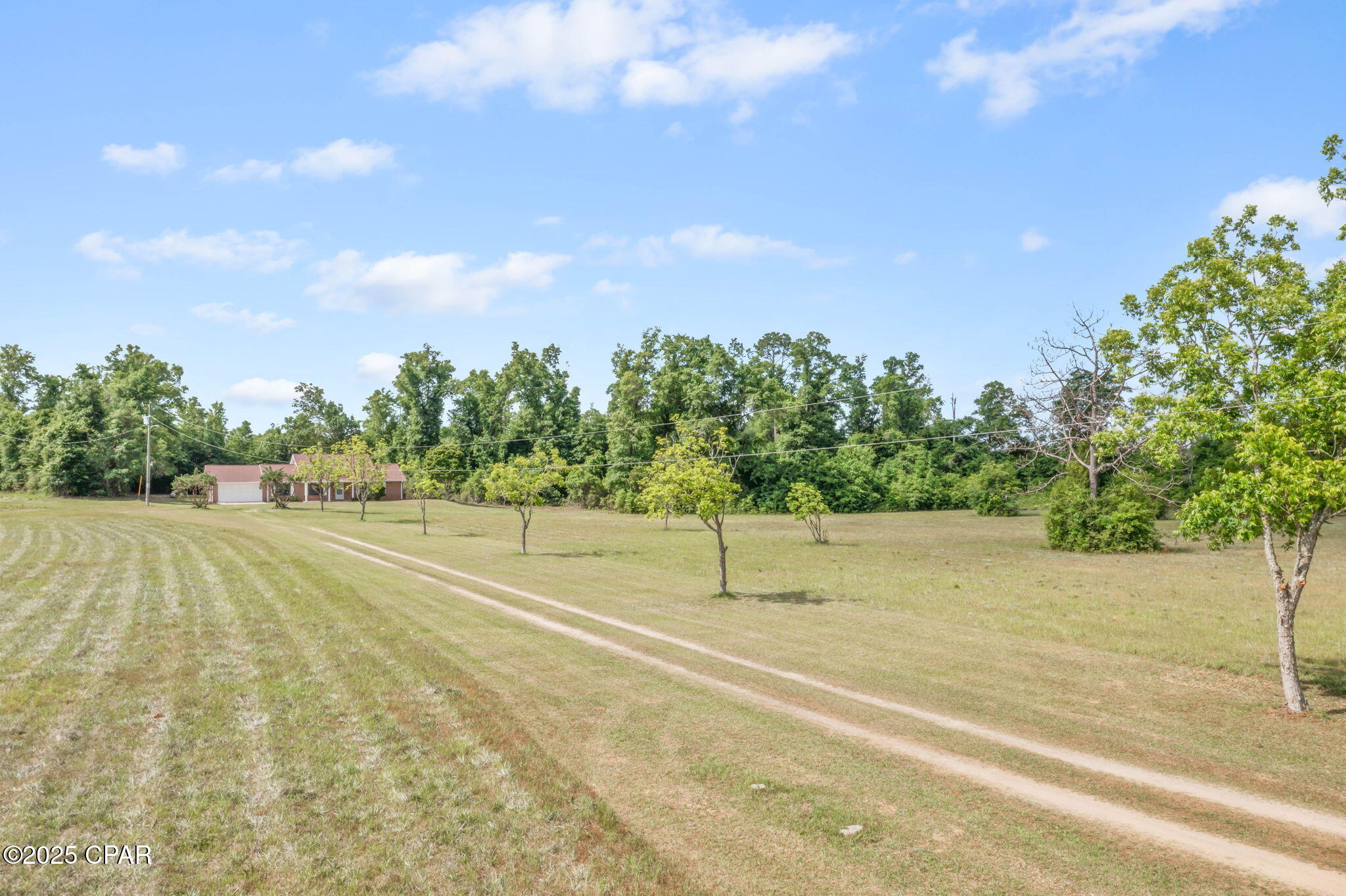 10367 Northwest County Road 274 Altha, FL 32421 - Photo 4 of 53