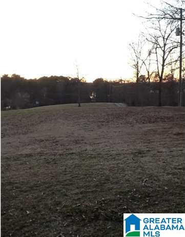 8810 Stemley Road Talladega, AL 35160 - Photo 30 of 32