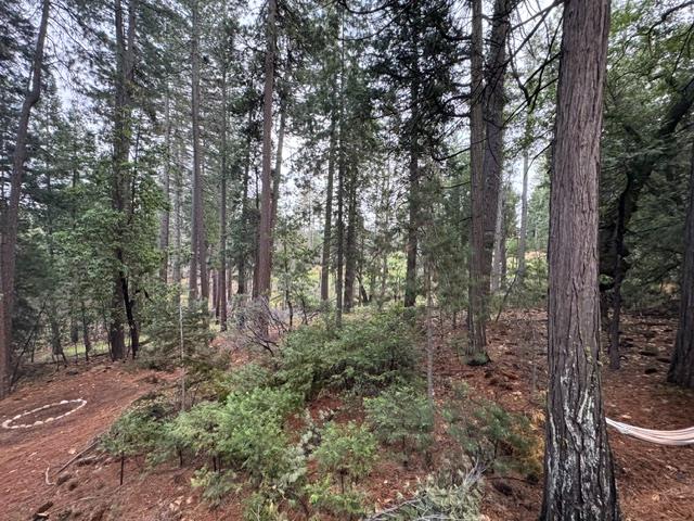 6017 Sly Park Road Placerville, CA 95667 - Photo 3 of 15