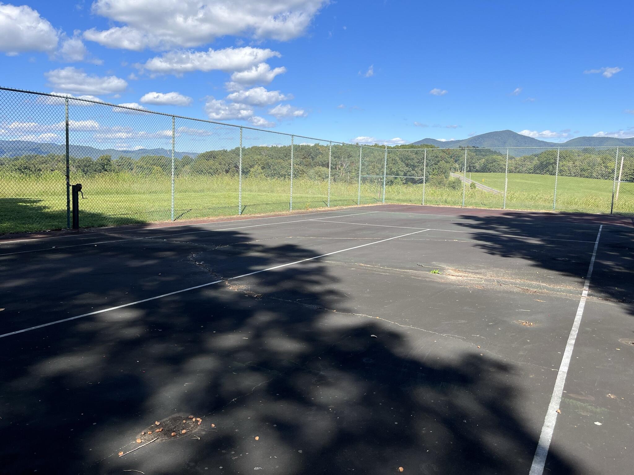 231 Bethlehem Road Boones Mill, VA 24065 - Photo 61 of 63 59 Tennis Court