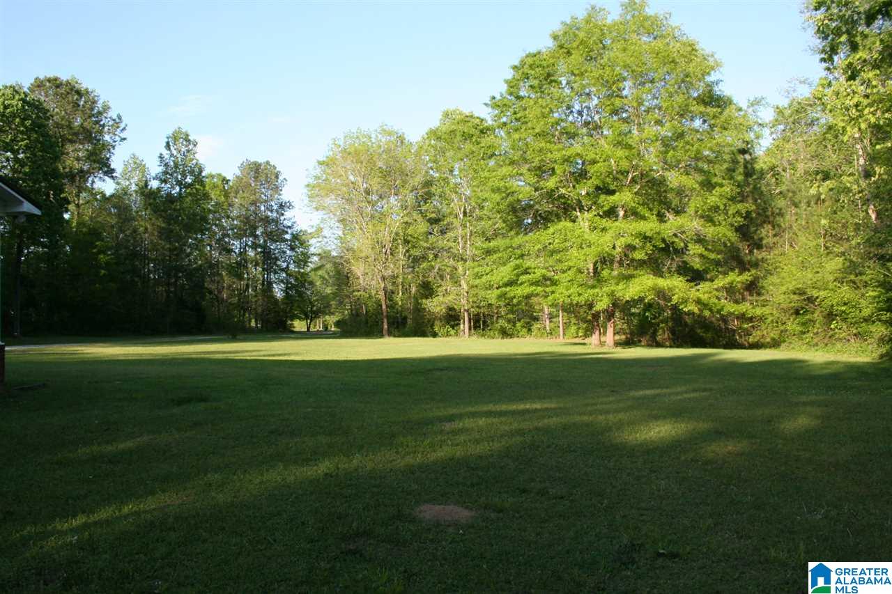 7340 Highway 144 Ragland, AL 35131 - Photo 29 of 40