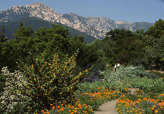 612 Mission Ridge Road Santa Barbara, CA 93103 - Photo 38 of 41 SB Botanic Gardens