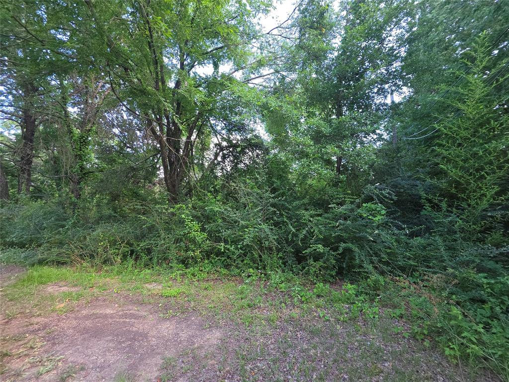 115 Abrams Road Gun Barrel City, TX 75156 - Photo 2 of 3 a view of a yard with a tree
