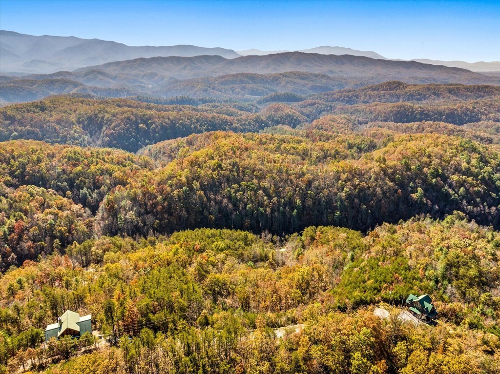 16 Wesley Way Sevierville, TN 37876 - Photo 11 of 22 Gallery Image 11