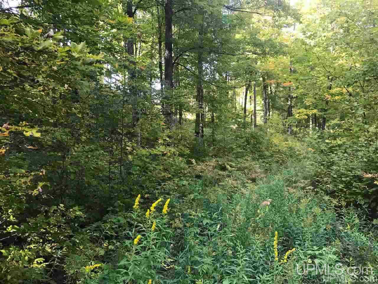Tbd Ford River Road Arnold, MI 49831 - Photo 7 of 22