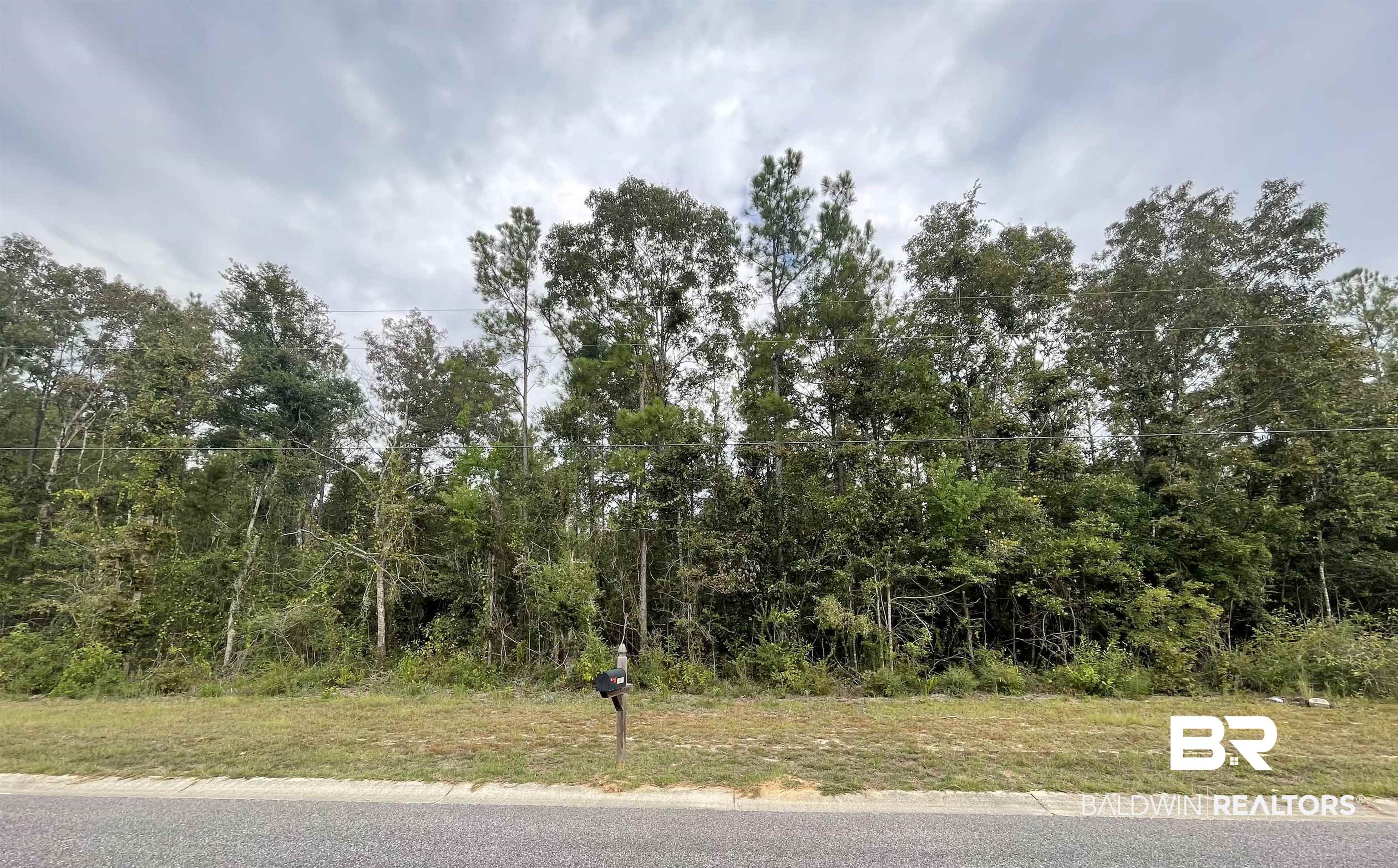 11 Cayden Circle Stapleton, AL 36578 - Photo 1 of 1