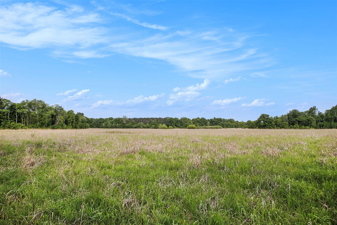 2255 River Road Hastings, MI 49058 - Photo 26 of 94