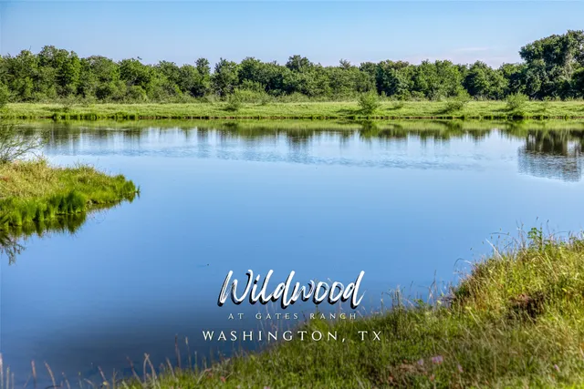 a view of a street sign next to a lake and trees