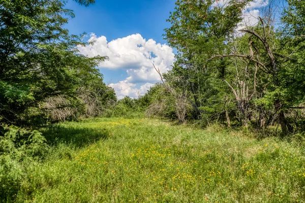 a view of a green field with lots of bushes