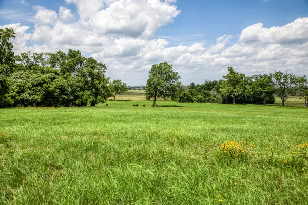 a view of a green field with wooden fence