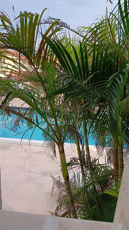 4169 Southwest 67th Avenue, Unit 209A Davie, FL 33314 - Photo 16 of 18