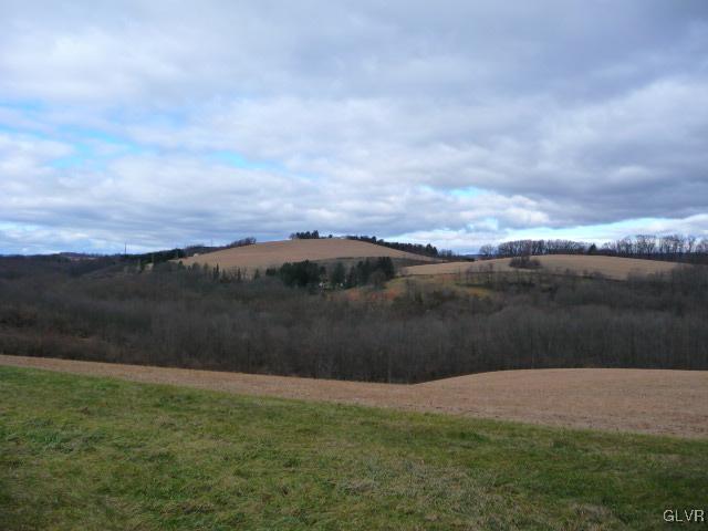 2540 Shady Nook Road Slatington, PA 18080 - Photo 3 of 37 Gallery Image 3