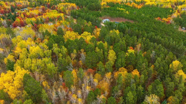 $344,900 | 15769 169th Avenue, Park Rapids, MN 56470