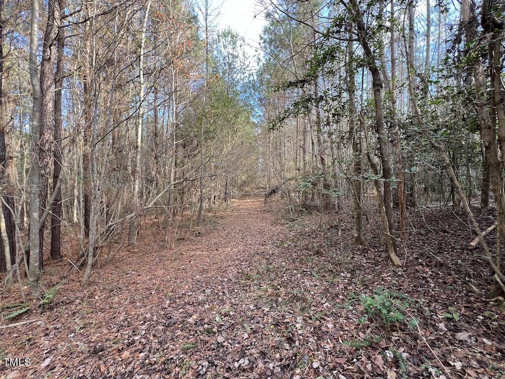 9 Peachtree Hills Road Spring Hope, NC 27882 - Photo 19 of 25 19