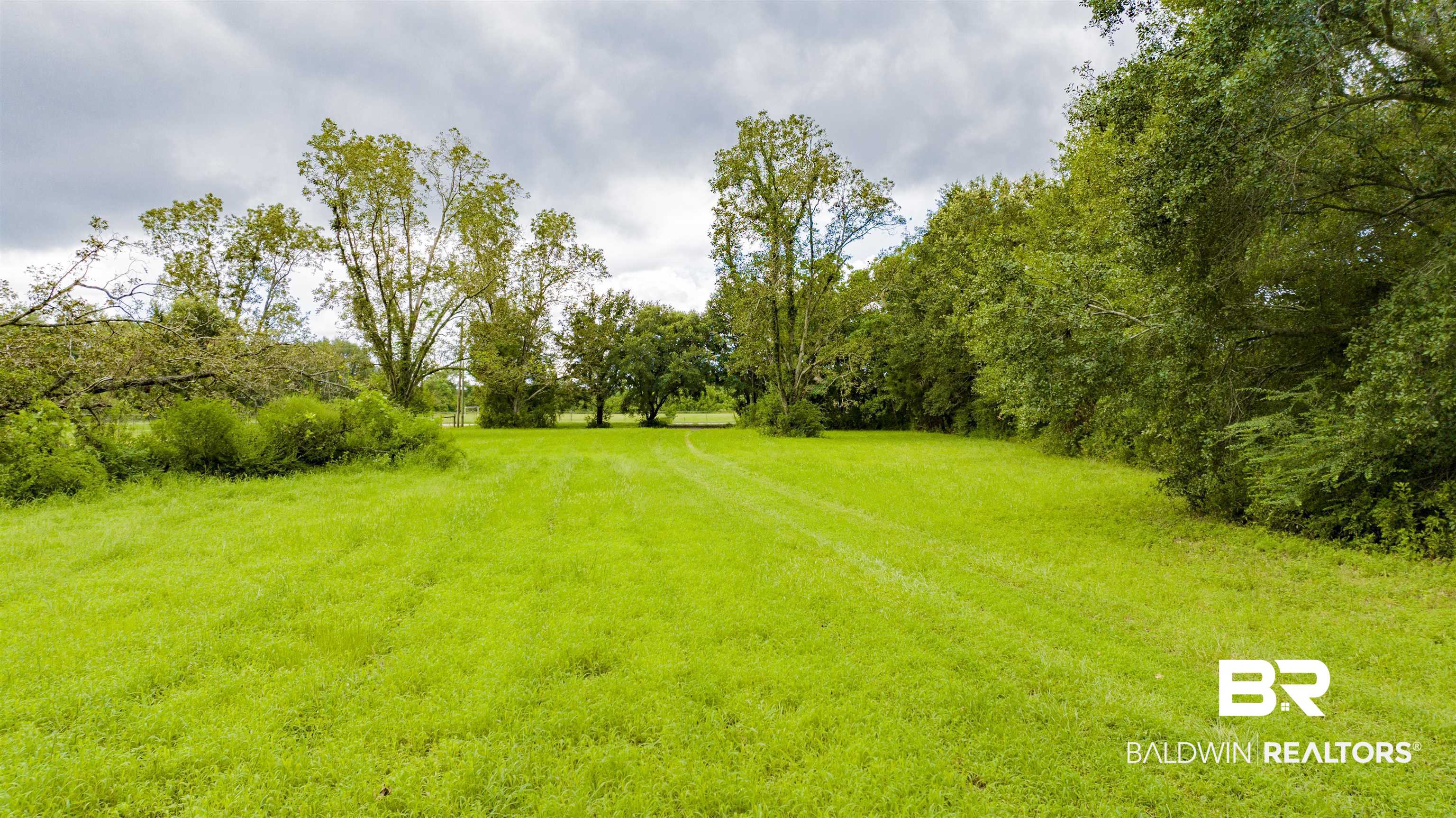 16155 Old Brady Road Bay Minette, AL 36507 - Photo 23 of 23 View of yard