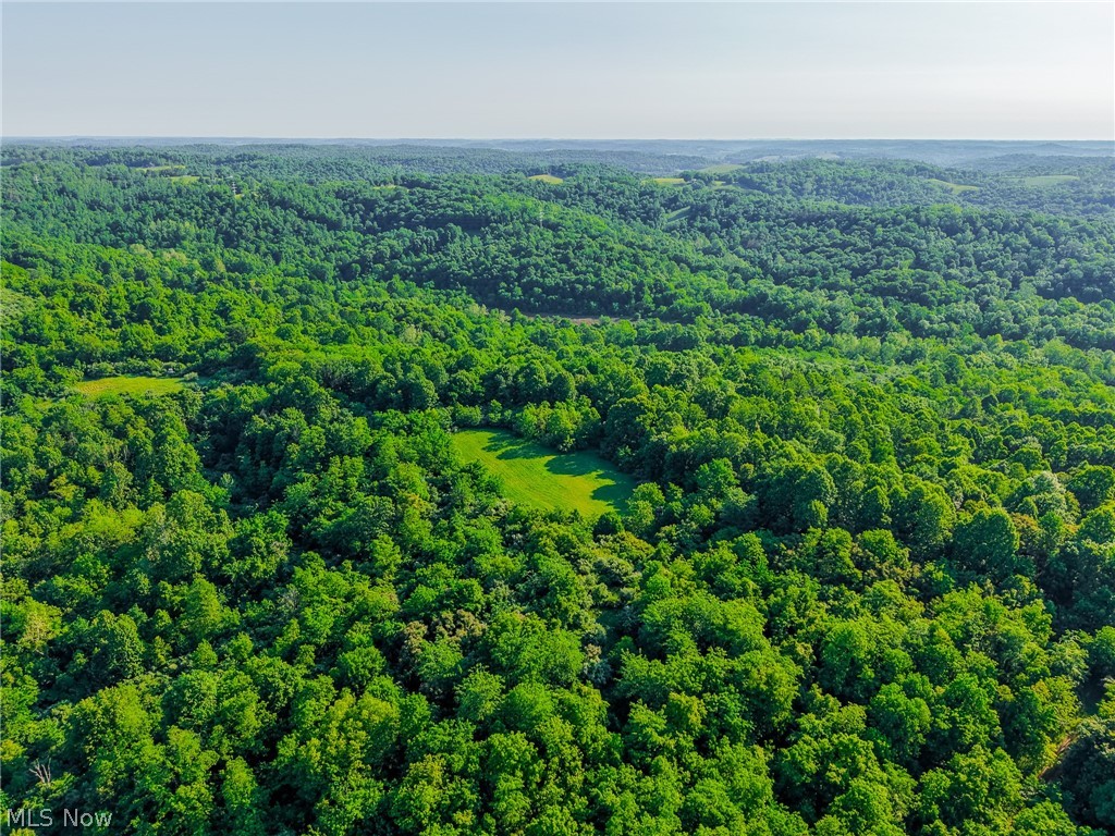 12680 Old Riley Road, Unit 5 Frazeysburg, OH 43822 - Photo 40 of 44