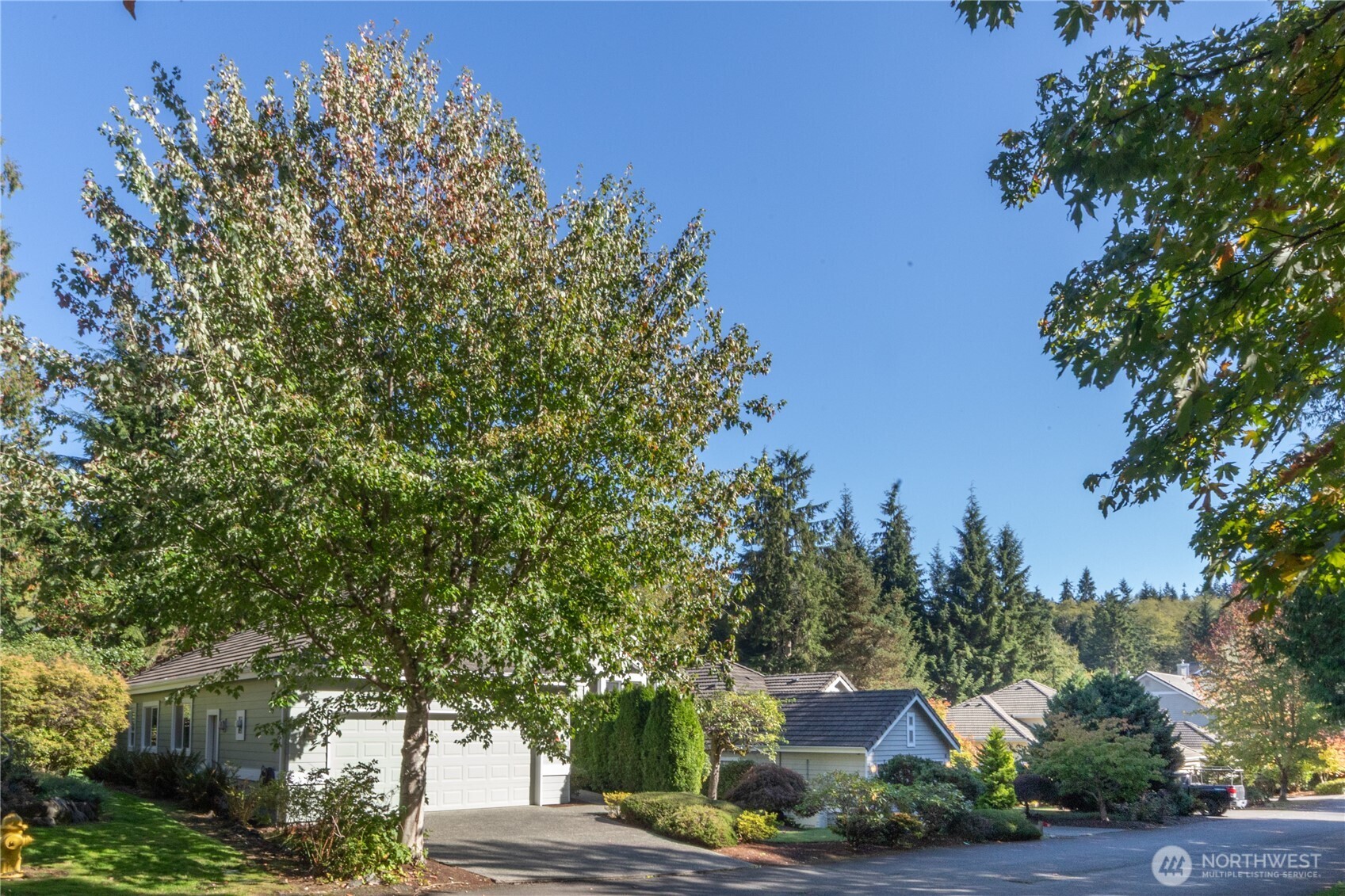 61 South Keel Way Port Ludlow, WA 98365 - Photo 21 of 33 a view of a street with a tree