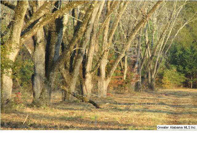 392 4 Mile Church Road, Unit 40 AC Anniston, AL 36206 - Photo 3 of 12