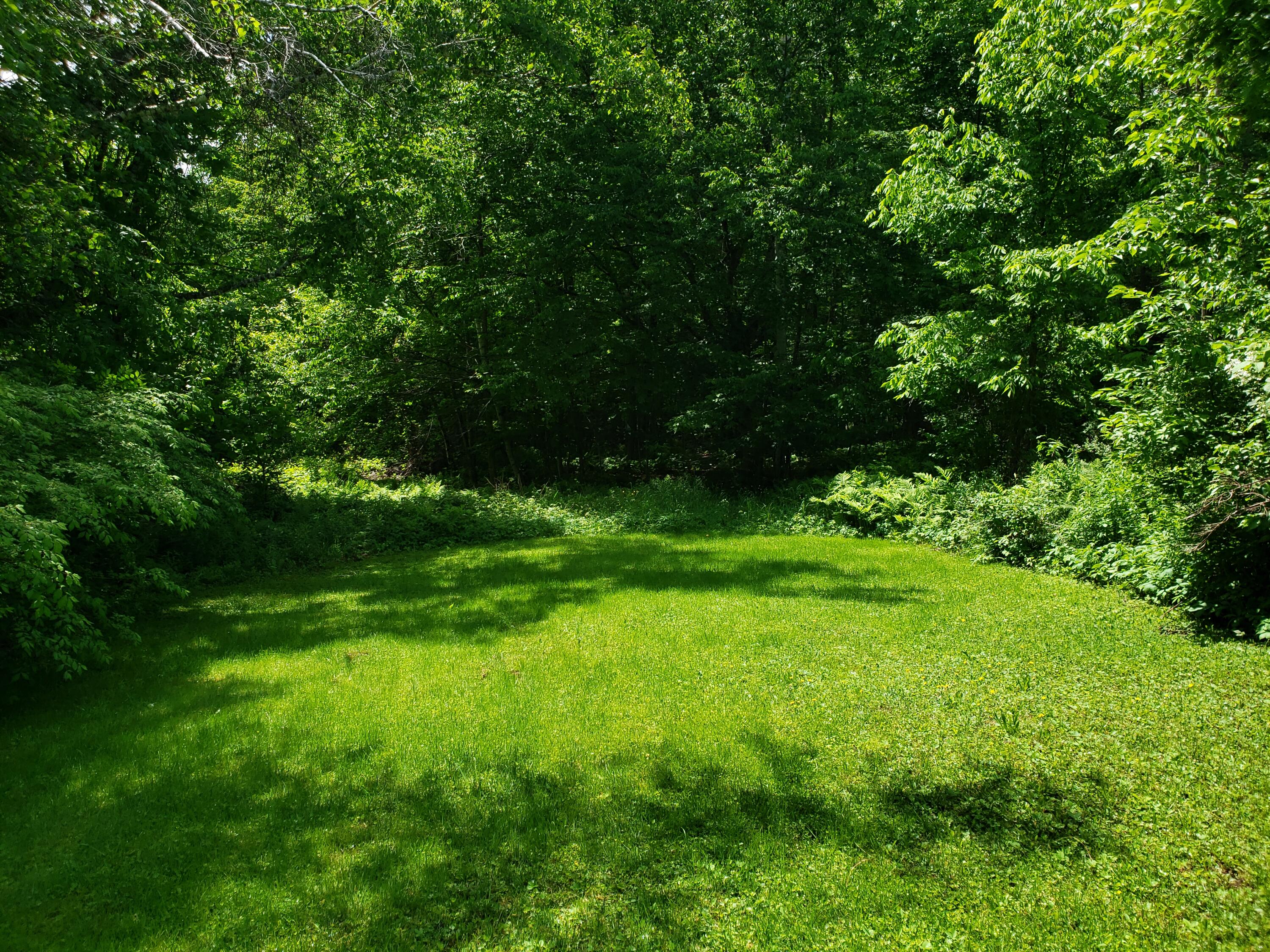 63 Bog Pond Road Phillips, ME 04966 - Photo 84 of 96 20230614_134809