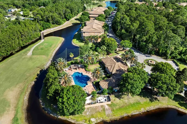 a picture of flowers