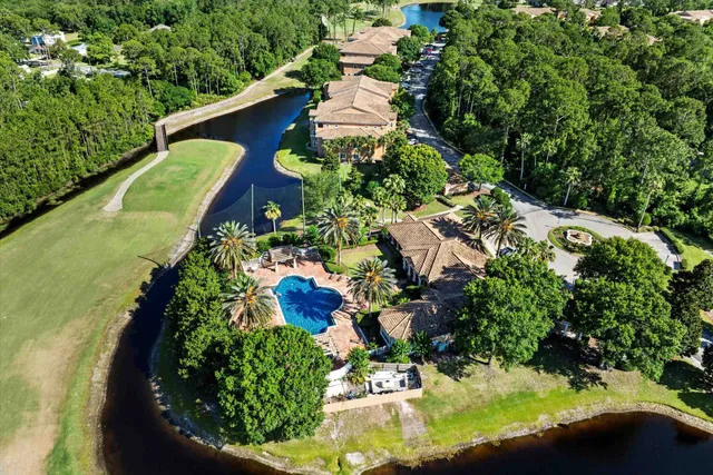 a picture of flowers